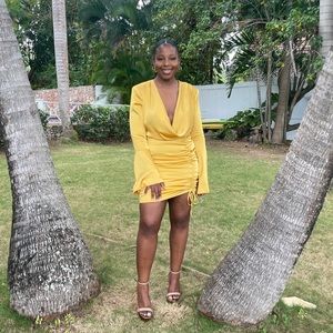 Plunge cow neck dress